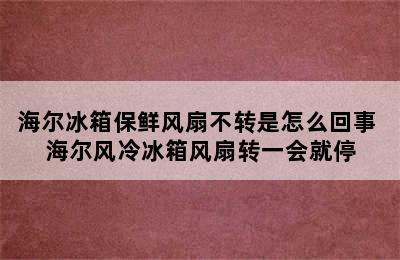 海尔冰箱保鲜风扇不转是怎么回事 海尔风冷冰箱风扇转一会就停